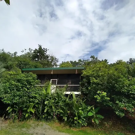 Cabinas Fave Uvita Exterior photo