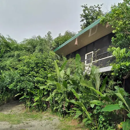 Cabinas Fave Uvita Exterior photo