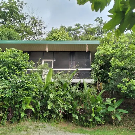 Cabinas Fave Uvita Exterior photo