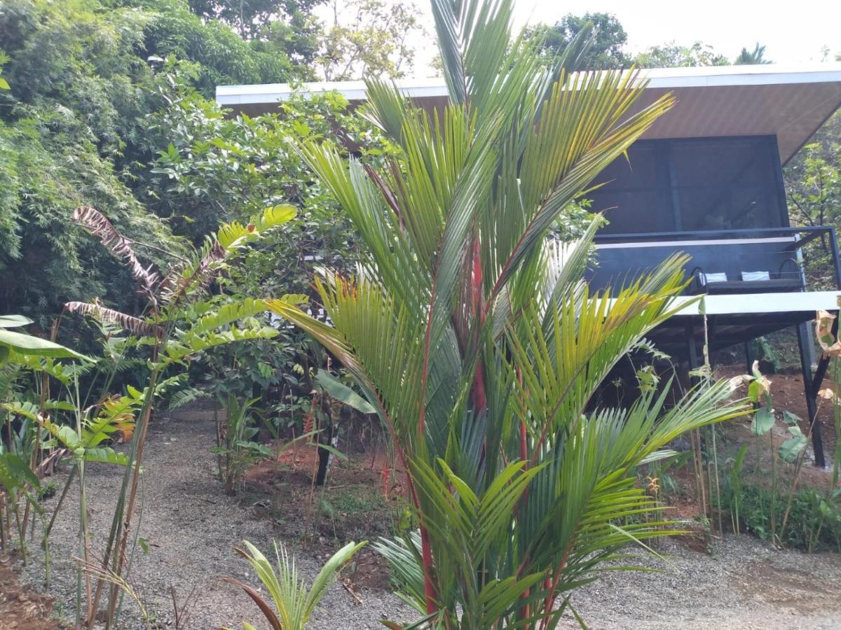 Cabinas Fave Apartment Uvita