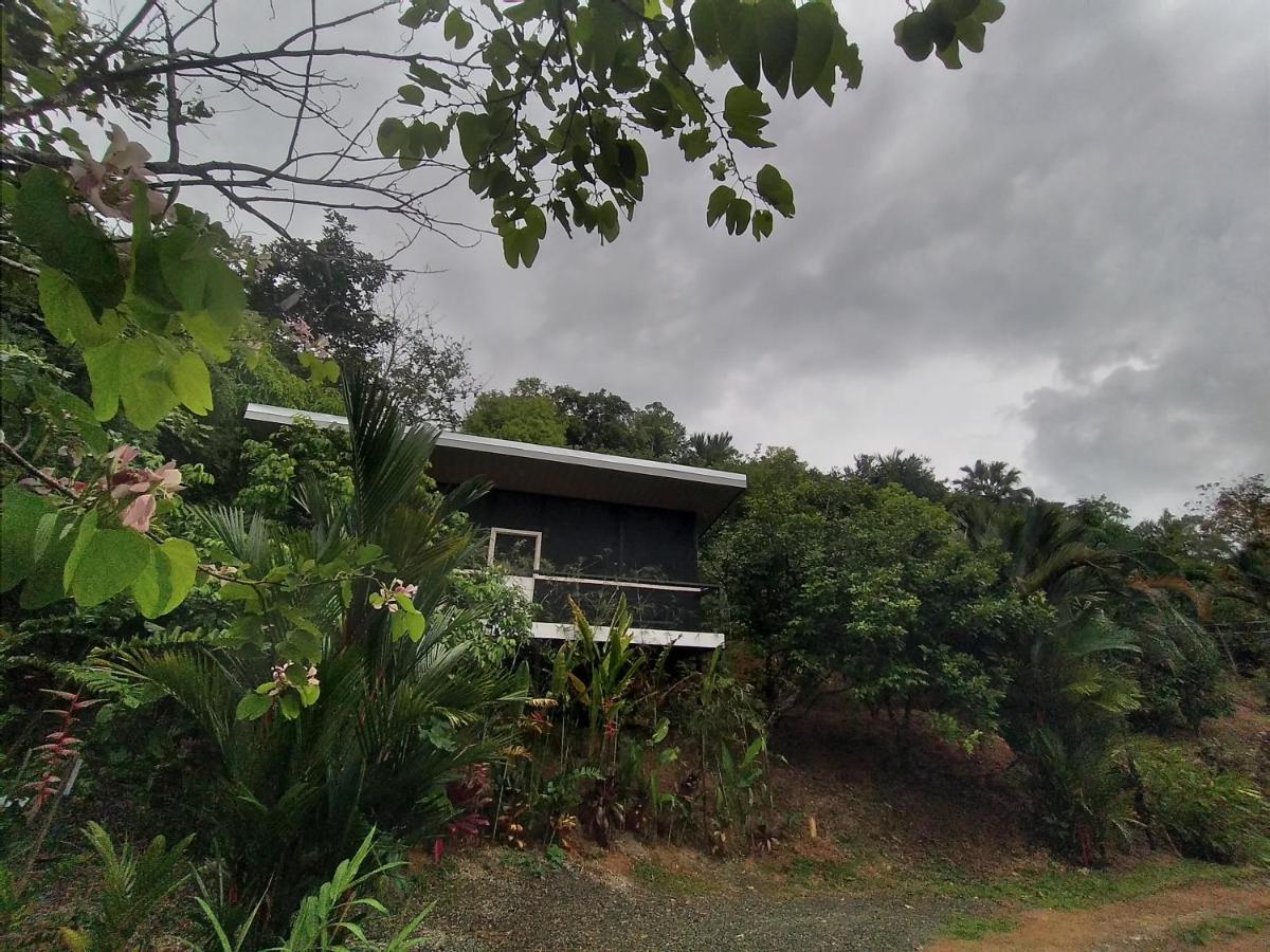 Apartment Cabinas Fave Uvita