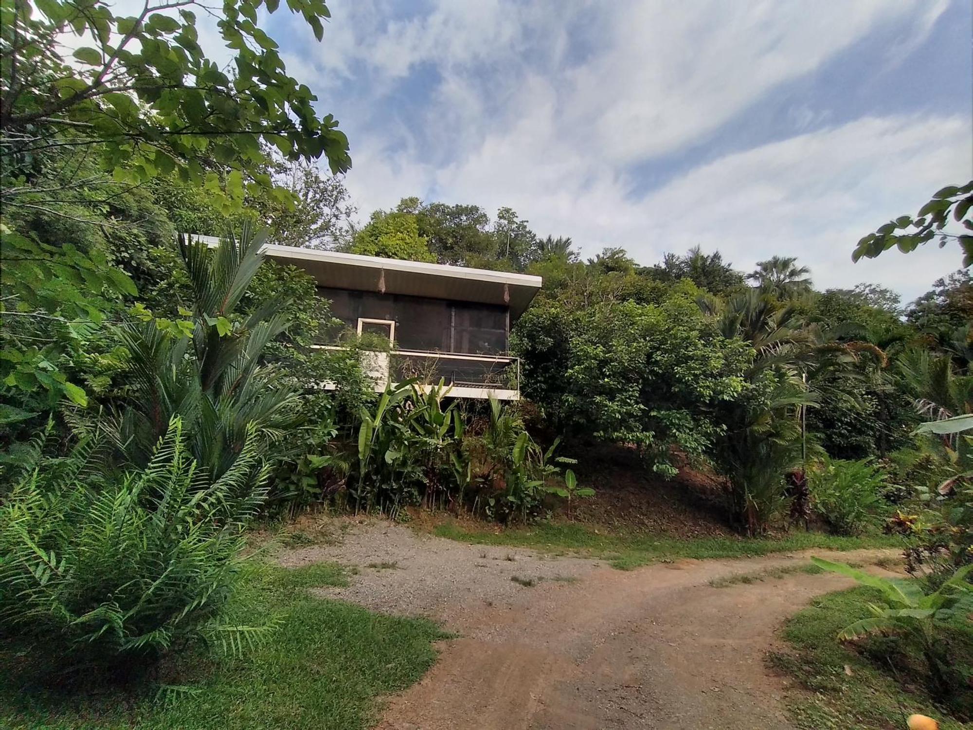 Apartment Cabinas Fave Uvita