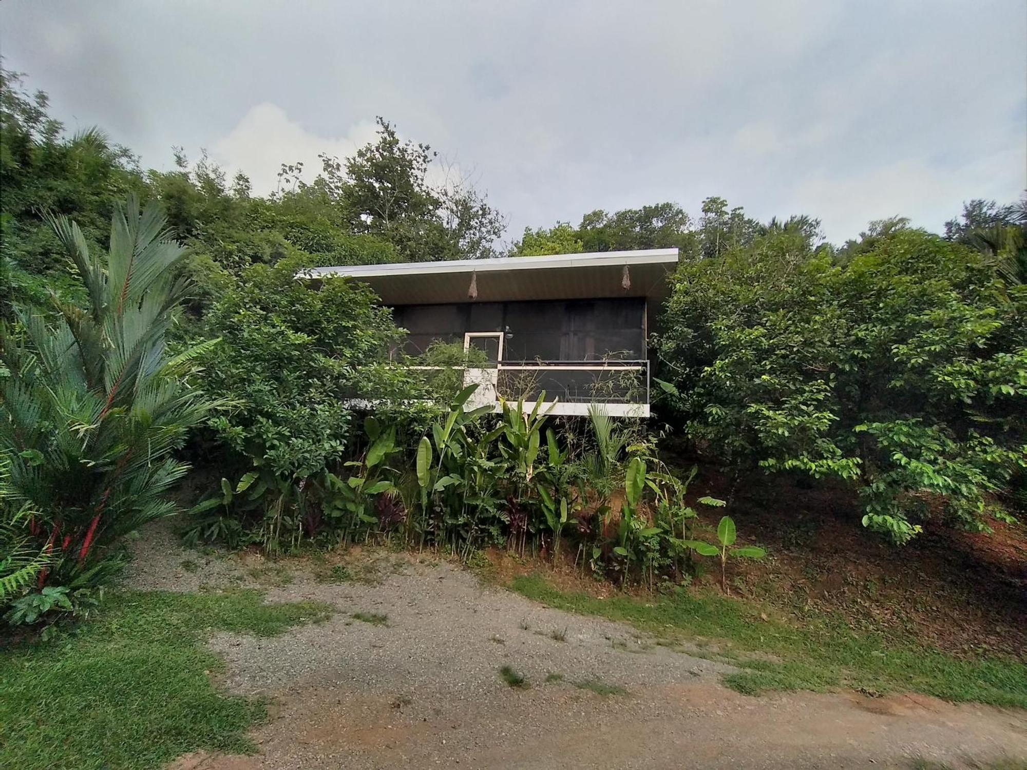 Apartment Cabinas Fave Uvita