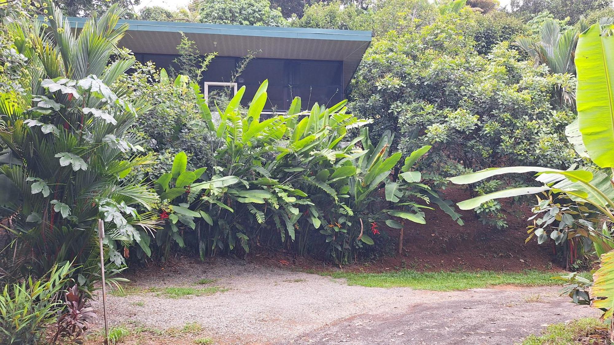 Apartment Cabinas Fave Uvita